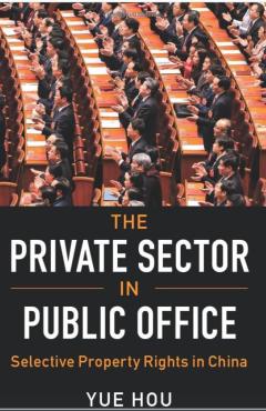 Private Sector in Public Office